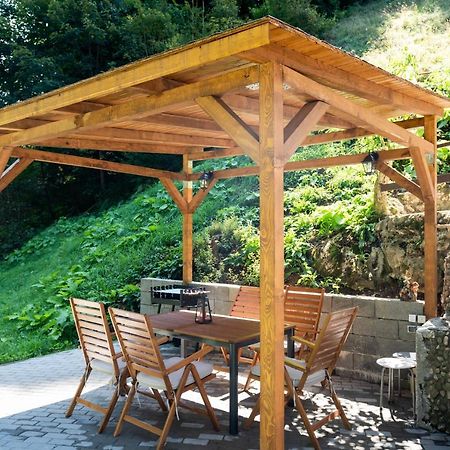 Oasis Mountain Villa Braşov Extérieur photo