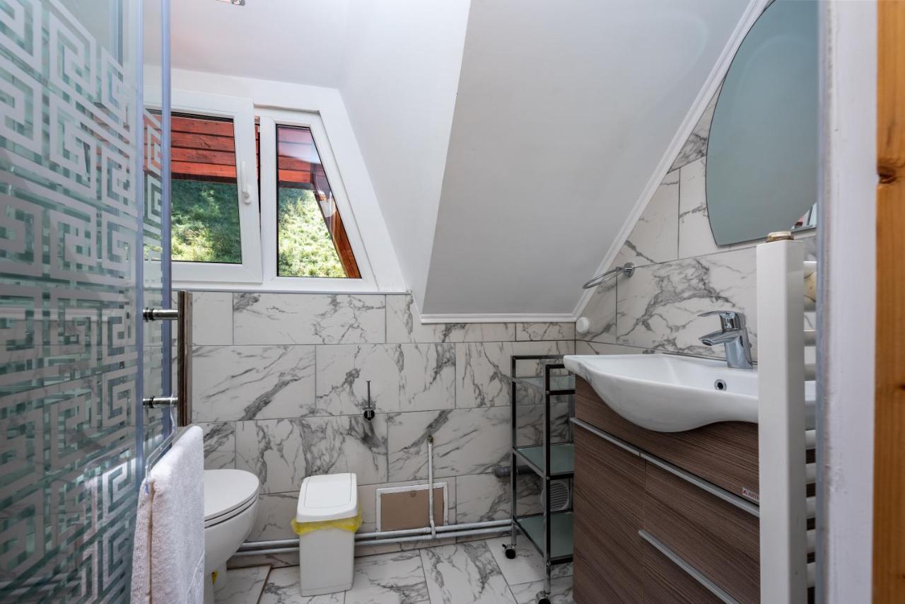 Oasis Mountain Villa Braşov Extérieur photo