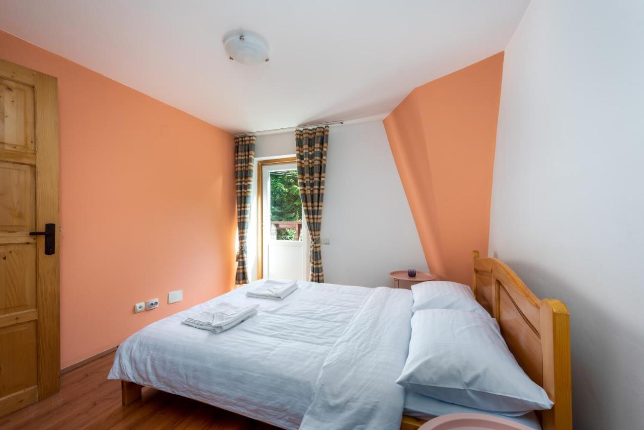 Oasis Mountain Villa Braşov Extérieur photo